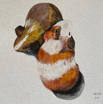 Guinea pigs by Myungja Anna Koh