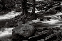 Black and White River 3 by Phil Perkins