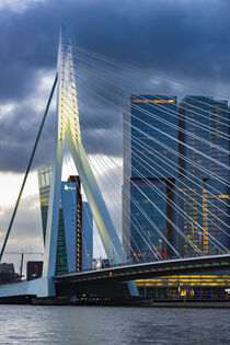 Nieuwe Maas mit Erasmusbrücke, Rotterdam, Südholland, Niederlande, Europa by Walter G. Allgöwer