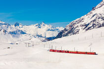 Rhätische Bahn am Berninapass in der Schweiz von dieterich-fotografie