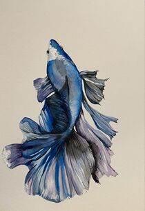 Blue beta fish by Myungja Anna Koh