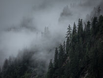 Fog and low clouds on a moody day in the trees in the mountains von Bastian Linder