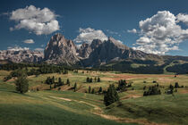 Meadows at Alpe di Siusi during summer with view to mountains of Plattkofel and Langkofel in the Dolomite Alps von Bastian Linder