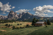 Flower meadows with wooden cabins at Alpe di Siusi during summer with view to mountains of Plattkofel and Langkofel in the Dolomite Alps by Bastian Linder