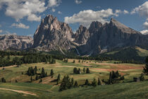 'Meadows at Alpe di Siusi during summer with view to mountains of Plattkofel and Langkofel in the Dolomite Alps' by Bastian Linder