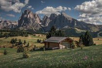 Flower meadows with wooden cabins at Alpe di Siusi during summer with view to mountains of Plattkofel and Langkofel in the Dolomite Alps by Bastian Linder
