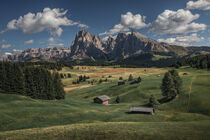 Meadows with wooden cabins at Alpe di Siusi during summer with view to mountains of Plattkofel and Langkofel in the Dolomite Alps by Bastian Linder