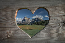Wooden heart shape with meadows at Alpe di Siusi during summer with view to mountains of Plattkofel and Langkofel in the Dolomite Alps by Bastian Linder