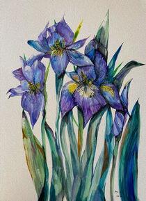 The iris by Myungja Anna Koh