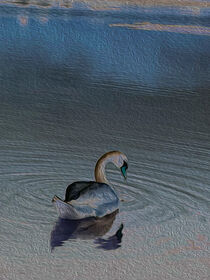 The swan by Myungja Anna Koh
