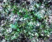 Granite moss and ice von Keith Mills