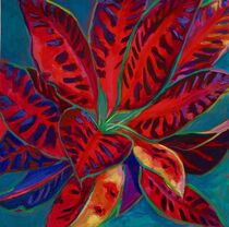 Red and black Croton  by Caroline  Solomon