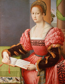 Portrait of a Lady  by Il Francesco Ubertini Bacchiacca