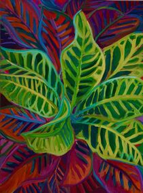 Red and Green Croton by Caroline  Solomon