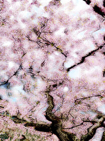 Bright spring 4 by Myungja Anna Koh