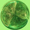 Gold-dust-and-emeralds-orb-six