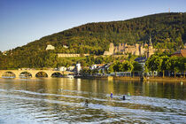 Heidelberg mit Schloss und Alter Brücke von Susanne Fritzsche