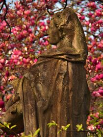 Die Magnolienfrau by Edgar Schermaul