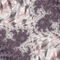 Mauve-pink-and-ivory-fractal-forty-one