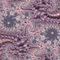 Mauve-pink-and-ivory-fractal-forty-seven