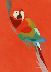 Macaw by FABIANO DOS REIS SILVA
