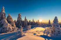 Schliffkopf im Schwarzwald bei Sonnenaufgang im Winter von dieterich-fotografie