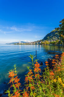 Montreux am Genfersee in der Schweiz by dieterich-fotografie