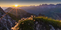 Alpen-Küchenschelle, Sonnenaufgang vom Krumbacher Höhenweg, Allgäuer Alpen von Walter G. Allgöwer
