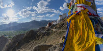 der Tsenmo-Hügel über Leh in Ladakh by Walter G. Allgöwer