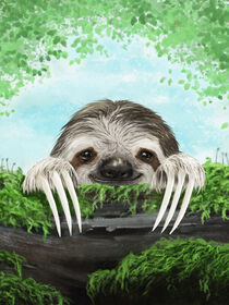 The Shy Sloth von Paula  Belle Flores