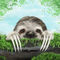 Sloth-3-af