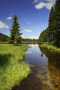 Kleiner Arbersee, Bayerischer Wald - Small Arber Lake, Bavarian Forest von Susanne Fritzsche