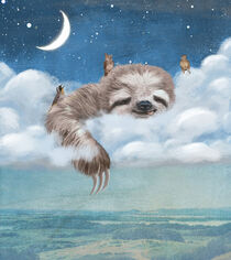 A Sloth's Dream von Paula  Belle Flores