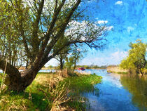 Alte Weide am Flussarm der Havel. Havelland gemalt. von havelmomente
