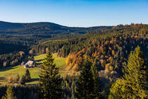 Schwarzwaldhaus im Schwarzwald von dieterich-fotografie