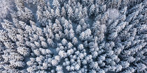 Winter im Schwarzwald aus der Vogelperspektive by dieterich-fotografie