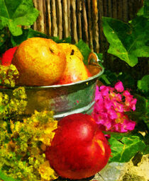 Obststillleben im Garten. Äpfel in Eimer. Gemalt. von havelmomente