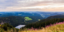 Blick vom Feldberg über Feldsee und den Schwarzwald von dieterich-fotografie