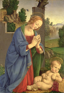 The Virgin Adoring the Child von Lorenzo di Credi