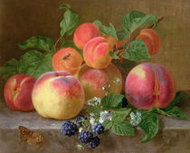 Still Life of Peaches  by Henriette Ronner-Knip