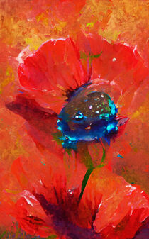 Red painted poppy flower. by havelmomente