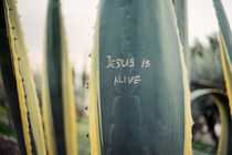 Jesus is alive von undarstellbar