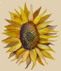 sunflower by Myungja Anna Koh