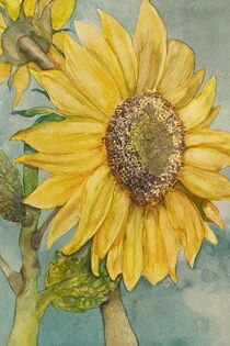 The sunflower by Myungja Anna Koh