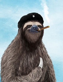 El Sloth by Paula  Belle Flores