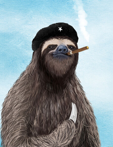 Che-gue-sloth-af