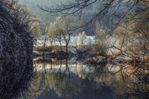 Spiegelung am winterlichen Donauufer bei Fridingen - Naturpark Obere Donau by Christine Horn