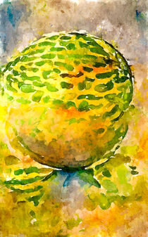 Aquarellgemälde. Wassermelone. Abstrakt. by havelmomente