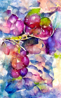 Weintrauben Aquarell. Farbenfroh gemalt. von havelmomente