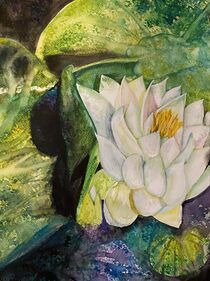 The water lily von Myungja Anna Koh